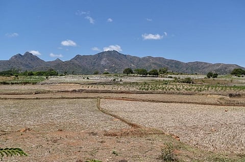 Climate crisis: Madagascar drought worsens  