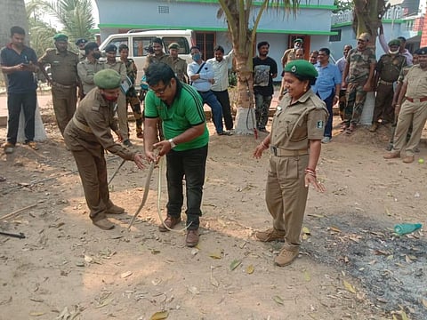 World Snake Day: Snake bites on the rise in Bhitarkanika