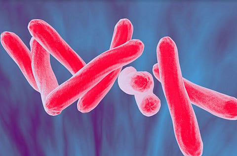 New insights into TB bacteria mechanism that helps it evade immune system: Researchers  