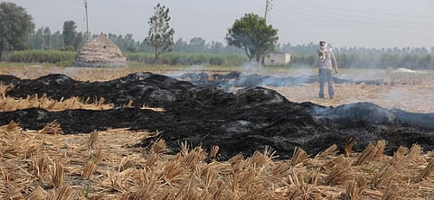 Black carbon particles contribute to increasing COVID-19 cases