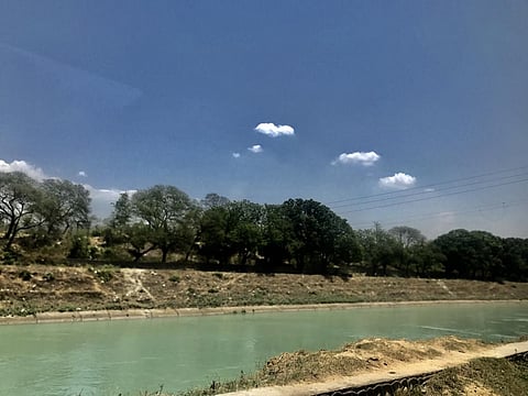 Sutlej river pollution: Millions on verge of health risks, NGT raises alarm  
