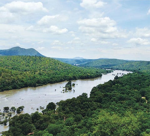 How the Centre’s water management boards can spell doom for Andhra Pradesh, Telangana