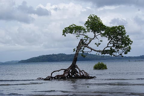 NASA’s new tool makes it possible to see future sea level rise  