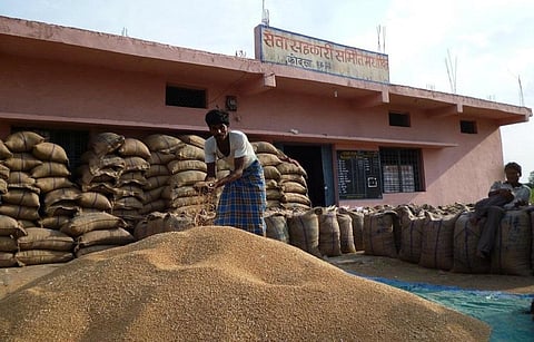 स्थायी समिति ने कहा है कि पीडीएस को मजबूती प्रदान करने के लिए राज्यों को डीपीसी में शामिल किया जाए। 