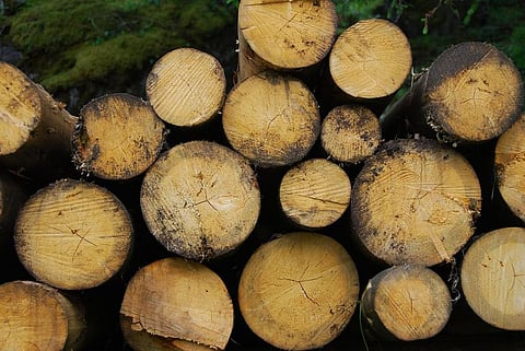 Second-generation bioethanol: It is time to launch it headlong 