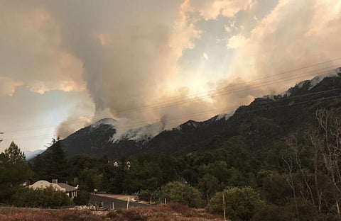 Smoke from wildfires may have added over 700 COVID-19 deaths to US toll