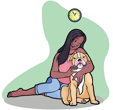 इलस्ट्रेशंस: योगेंद्र आनंद / सीएसई 