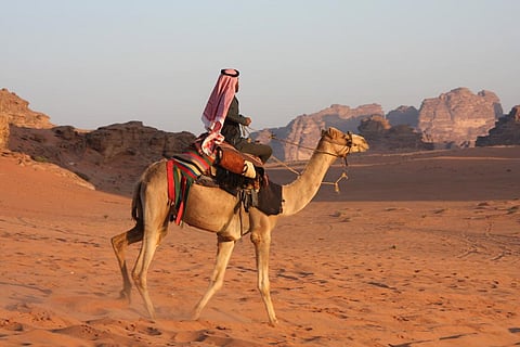 Saudi Arabia reported four cases of MERS-CoV infection between March 12 and July 31, 2021. One of these four has died. It spreads through Dromedary camels. Photo: Wikimedia