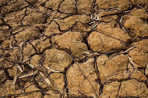 India’s northeastern states desertifying most rapidly