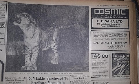 A photo of the litigon Cubanacan in Alipore Zoo published in the March 12, 1980 edition of The Statesman, Calcutta. Credit Subhodip Bid and Payel Biswas 