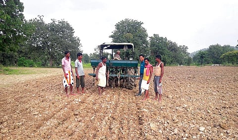 Land under kharif pulses was growing at  8 per cent in 1980 but by 1990 the trend turned negative, with the acreage declining
at -8 per cent (Photograph: Rajkumar Verma)