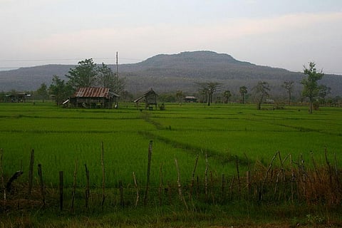 Not just groundwater, flouride has poisoned agricultural soil, crops in Bengal  