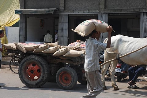 किसान धान, गेंहू और अरहर दाल समेत 18 प्रकार की फसलों का 55 से 93 फीसद स्थानीय बाजारों में बेचते हैं। फोटो: अग्निमीर बासु