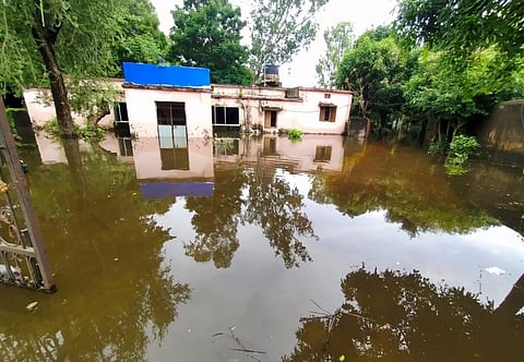 A duck breeding farm in Cuttack, Odisha. As many as 460 ducklings died after rainwater flooded the farm. Photo: Hrusikesh Mohanty 