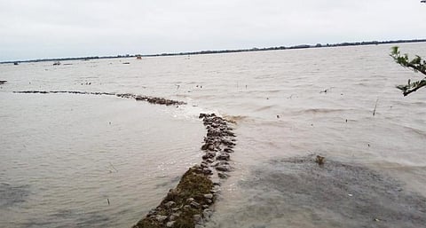 Survey highlights gap between climate emergency perception, action in India