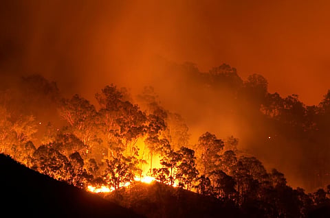 Smoke from world’s worsening wildfires is killing more than 33,000 people every year