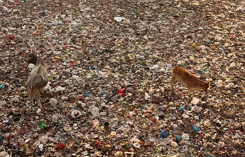 Medical waste incineration plant in Bihar’s Sone river bed faces public flak  