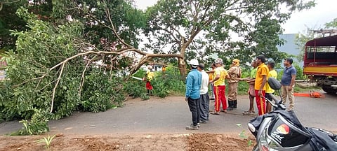 Cyclone Gulaab: Heavy rain lashes West Bengal, 2 dead