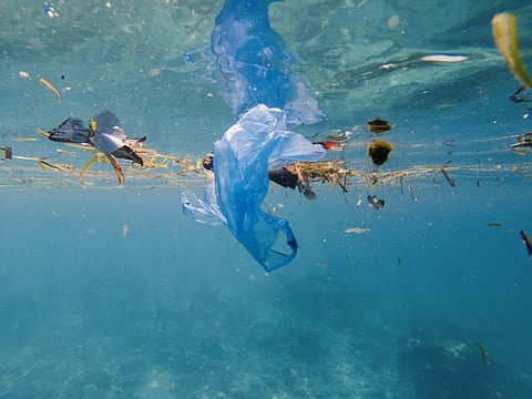 Why plastic piling in oceans post COVID-19 needs urgent attention  