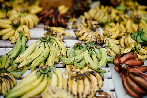 चाय और केले के कचरे से तैयार किया गैर-विषाक्त सक्रिय कार्बन