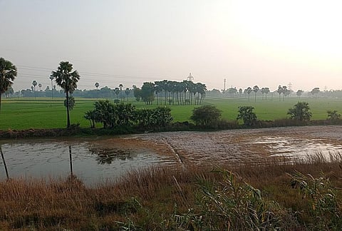 Bihar to give subsidy to farmers who could not cultivate crops due to waterlogging 