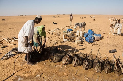 Climate crisis: Heads of least developed countries call for equitable action ahead of COP26