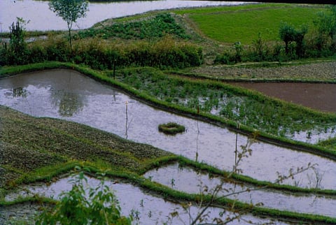 CoP26 report card: Agriculture continues to remain subterranean even in Glasgow