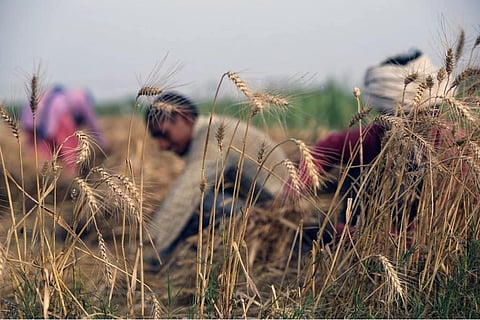 कॉप-26: फण्ड फ्लो में कमी के चलते बढ़ी अनुकूलन की लागत