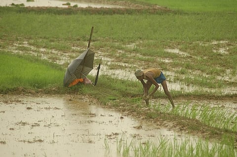 Photo: Agnimirh Basu