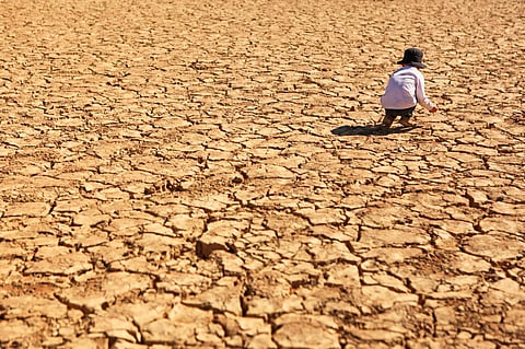 Africa climate programme to benefit 5.4 million small-scale farmers in Sahel