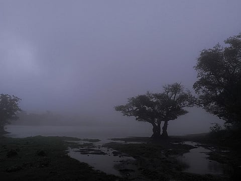 Winter monsoon: 2021 had fewest sub-divisions with normal rainfall in five years