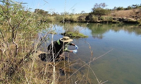 Antimicrobial Awareness Week 2021: Zimbabwe’s initiatives to prevent and contain AMR 