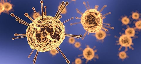 New coronavirus variant: Reconsider entry ban to UK, urges South Africa government 