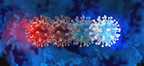 The hunt for coronavirus variants: how the new one was found and what we know so far