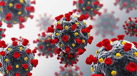COVID-19: 2 years into pandemic, original virus nowhere as variants take over