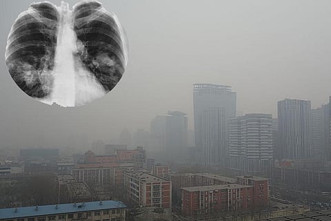 फोटो : विकिमीडिया कॉमन्स 
