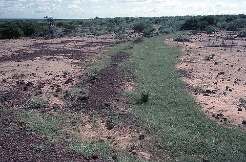 Land, water resources are at breaking point: Report