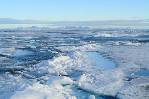 Caught between COVID-19 and climate crisis: How Arctic saw massive disruptions in 2021