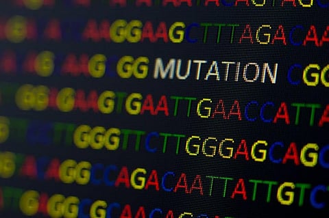 Genomic sequencing: Here’s how researchers identify omicron and other COVID-19 variants