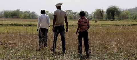 Low grant sanctions, disbursement: India wants to promote FPOs but where are the funds?