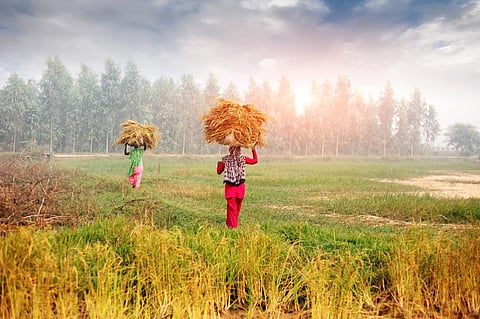 Food security policy formulation: What can India learn from other countries? 