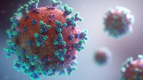 New novel coronavirus variant reported in 12 cases from southern France has 46 mutations