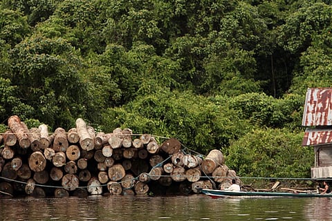 Every northeastern state reports loss in forest cover: State of India’s Forest Report 2021