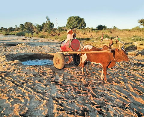 Water stress may intensify
tensions among countries
in Africa and lead to
conflicts and social unrest (Photograph Courtesy: World Food Programme)