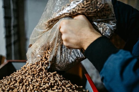 Union Budget 2022-23: National biomass co-firing policy mooted by CSE in focus