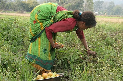 Dalits are known as 'Shilpkar' or artisans in Uttarakhand due to the influence of the Arya Samaj. Photo: Samrat Mukherjee / CSE