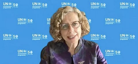 UNEP Executive Director, Inger Andersen at the 55th session of the IPCC. Photo: @IPCC_CH / Twitter