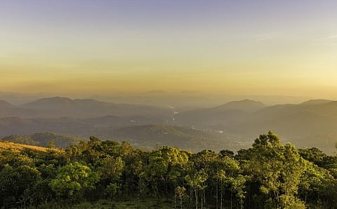 The Periyar Tiger Reserve, near which the proposed Indian Neutrino Observatory project was to be built. Photo: iStock