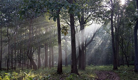 Photo: iStock