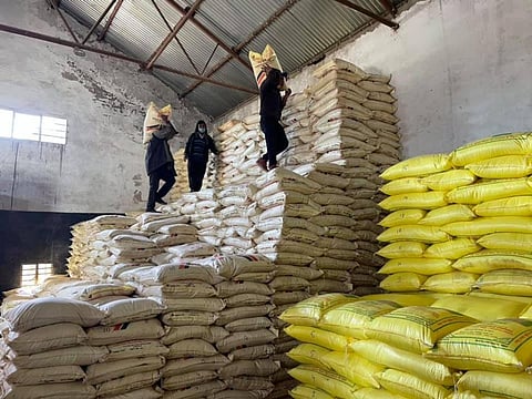 हिमाचल में खाद का वितरण करने वाली संस्था हिमफेड के गोदामों में रसायनिक खाद। फोटो: रोहित पराशर
